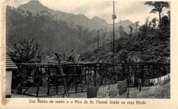 S. SÃO TOMÉ - Um Trecho De Mato E O Pico De St. Thomé Tirada Na Roça Binda - Sao Tome Et Principe