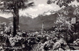 ILTALIE - MERANO - Kurort Meran - Carte Postale Ancienne - Merano