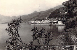 ILTALIE - BELLAGIO - Lago Di Como - Carte Postale Ancienne - Andere & Zonder Classificatie