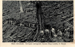 S. SÃO TOMÉ - Mato Derrubado - Serviçais Carregando Banana - Roça Lemba - Sao Tome Et Principe