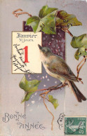 ANIMAUX &FAUNE - OISEAUX - Oiseau Posé Sur Une Branche - Carte Postale Ancienne - Uccelli