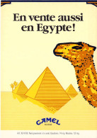 PUBLICITE - CAMEL - En Vente Aussi En Egypte - Carte Postale Ancienne - Werbepostkarten