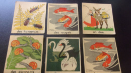 ILLUSTRATION Manon Lessel 6 IMAGES  HANNETONS ROUGET ANE ESCARGOT  CYGNE - Andere & Zonder Classificatie