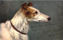 ANIMAUX - CHIENS - Chien Blanc Et Marron Regarde Droit Devant Lui - Collier- Carte Postale Ancienne - Perros