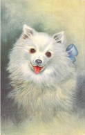 ANIMAUX - CHIENS - Petit Chien Blanc - Noeud Bleu - Carte Postale Ancienne - Chiens