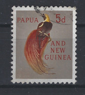 Papua New Guinea Used ; Paradijsvogel Bird Of Paradise Oiseau De Paradis Ave Del Paraiso Vogel Bird Ave Oiseau - Perroquets & Tropicaux
