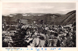 ALLEMAGNE - Werdohl Im Sauerland - Carte Postale Ancienne - Other & Unclassified