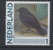 Netherlands Nederland Pays Bas Holanda Niederlande MNH ; Kraai Kauw Crow Corbeau Cuervo Vogel Ave Bird Oiseau - Koekoeken En Toerako's