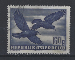 Oostenrijk Austria Used ; Kraai Kauw Crow Corbeau Cuervo Vogel Ave Bird Oiseau - Koekoeken En Toerako's