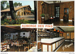 Carte Postale 40. Sabres Auberge Des Pins Au Milieu De La Foret Trés Beau Plan - Sabres