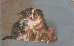 ANIMAUX - Chien Et Chat Qui Se Font Un Calin - Carte Postale Ancienne - Chiens