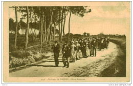 Carte Postale 2156 - Environs De Vannes - Noce Bretonne - Noces