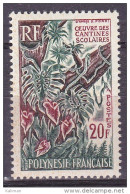 Polynésie Yvert N° 35 Xx (MNH) - Cote 25 Euros - Prix De Départ 7.50 Euros - Neufs