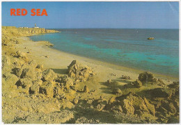 EGP10001 Egypt CPM Postcard - Red Sea Hurgada - SQUIRREL FISH - Hurghada