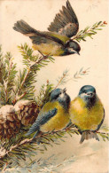 OISEAUX - Des Oiseaux Ce Posent Dans Un Sapin - Carte Postale Ancienne - Pájaros