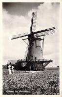 PAYS BAS - Groeten Uit Walcheren- Carte Postale Ancienne - Autres & Non Classés