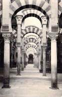 ESPAGNE - CORDOBA - Mosquée Labyrinthe De Colonnes - Carte Postale Ancienne - Other & Unclassified