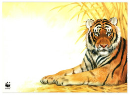 A Lying Tiger, Unused WWF Postcard. Publisher World Wide Fund For Nature, 1980s; 11x15.5cm - Tigers