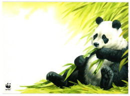 Giant Panda, Unused WWF Postcard. Publisher World Wide Fund For Nature, 1980s; 11x15.5cm - Ours