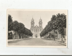 MERVILLE (NORD) 17 CARTE PHOTO AVENUE DE L'EGLISE - Merville