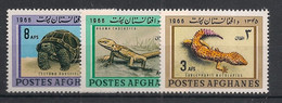 AFGHANISTAN - 1966 - N° Yv. 804 à 806 - Reptiles - Neuf Luxe ** / MNH / Postfrisch - Afganistán