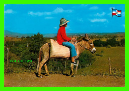 SAN JOSE DE LAS MATRAS, RÉPUBLIQUE DOMINICAINE - RIDER IN CORDILLERA CENTRAL, LOS MONTONES - WRITTEN IN 1977 - LIBRERIA - Dominican Republic