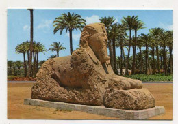 AK 134910 EGYPT - Memphis - The Alabaster Sphinx - Sphynx