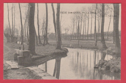 Sint-Anna-Pede / Pede Ste-Anne - La Pede - 1909 ( Verso Zien ) - Dilbeek