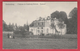 Huldenberg -  Limburg-Stirum Kasteel  - 1909 ( Verso Zien ) - Huldenberg