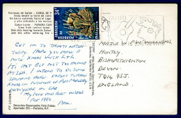 Ref 1616 - 1978 Postcard 34f Millepora Coral Single Franking France Tahiti Music Slogan - Lettres & Documents