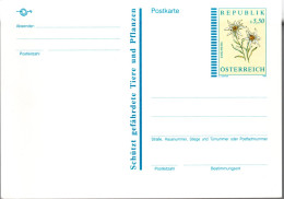 FLEURS /AUTRICHE / CARTE ENTIER POSTAL AVE UN TIMBRE EDELWEISS DE S. 5,50 - Other & Unclassified