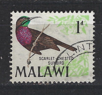 Malawi Used ; Kolibri Honeybird Colibri Sunbird Vogel Oiseau Ave Vogel Bird - Hummingbirds