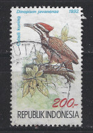 Indonesie Indonesia Used Specht Pic Pico Woodpecker Vogel Bird Ave Oiseau - Spechten En Klimvogels