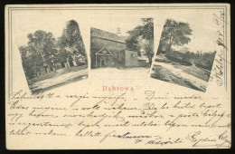 DABROWA 1908. Képeslap SÁROSMÁRIAVÖLGY Ritka Postaügynökségi Bélyegzéssel - Used Stamps