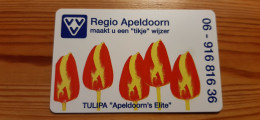 Phonecard Netherlands - Regio Apeldoorn, Tulip - Privé