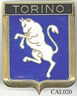 CAL020 - PLAQUE CALANDRE AUTO - TORINO - Other & Unclassified