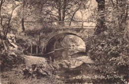 ROYAUME UNI - NEW FOREST - Old Roman Bridge - Carte Postale Ancienne - Altri & Non Classificati