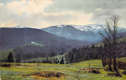 ALLEMAGNE - SCHWARZWALD - Seebuck Und Ferdberg - Carte Postale Ancienne - Other & Unclassified