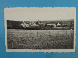 Sart-en-Fagne Panorama - Philippeville