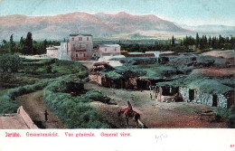 Jordanie - Jericho - Vue Générale - Colorisé   -  Carte Postale Ancienne - Jordanië