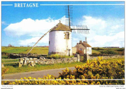 Carte Postale 56. Erdeven Le Moulin De Narbon Trés Beau Plan - Erdeven