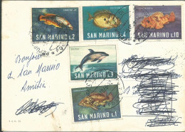 SAINT MARIN  20c SUR CARTE POUR DIJON ( COTE D' OR ) DE 1966 THEME POISSON  LETTRE COVER - Covers & Documents