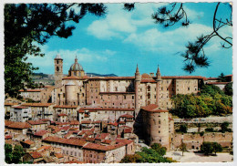 URBINO    PANORAMA                  (NUOVA) - Urbino