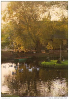 Carte Postale 59 - Wattrelos - La Ferme Pédagogique Trés Beau Plan - Wattrelos