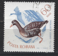 Roemenie Romania Romana Used ; Gans Goose Oie Ganso Vogel Bird Ave Oiseau - Gansos