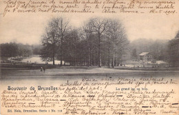 BELGIQUE - BRUXELLES - Le Grand Lac Au Bois - Carte Postale Ancienne - Squares