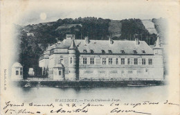 BELGIQUE - HASTIERE - Vue Du Château De Freyr - Carte Postale Ancienne - Hastiere