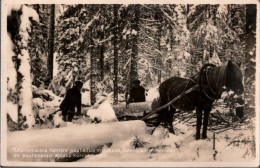 !  Alte Ansichtskarte , Finland, Finnland, Holzfäller, Pferd - Finland