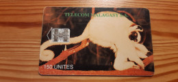 Phonecard Madagascar - Monkey - Madagaskar