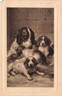 Chien - Une Chienne Et Ses Petits - - Carte Postale Ancienne - Perros